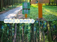 -同里国家湿地公园