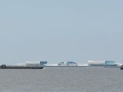 -上海滨江森林公园