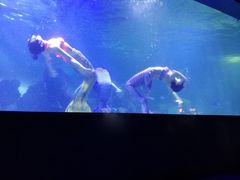 -重庆欢乐海底世界