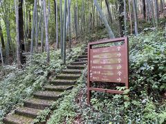 -上海佘山国家森林公园天马山园
