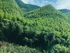 -莫干山风景区