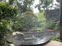 -明月山天沐温泉度假村