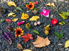 -国家植物园南园