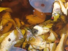 水煮鱼-红菜坊·烤鸭·川鲁宴(石园店)