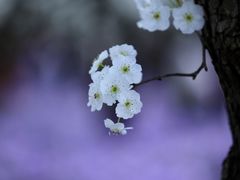-江苏三台山国家森林公园