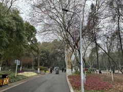 -赭山公园