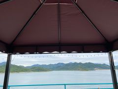 -望湖烤鱼