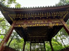 -汇龙潭
