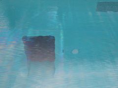 -金泽21世纪美术馆