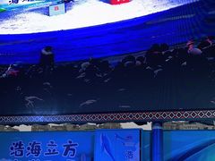 -成都浩海立方海洋公园