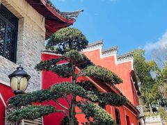 -溪口-滕头旅游景区