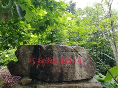 -广州市流溪河国家森林公园
