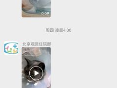 -北京观赏动物医院·24小时大型综合·猫专科·异宠专科