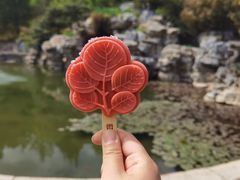 -香山公园