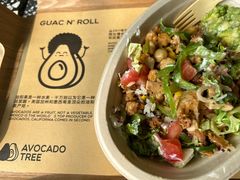 -油梨树AVOCADO TREE(顺义新国展店)