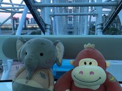 -南昌之星摩天轮