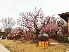 -诗经里