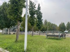 -北京群众马术培训基地