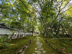 -西芳寺(苔寺)