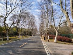 -宜兴龙背山森林公园