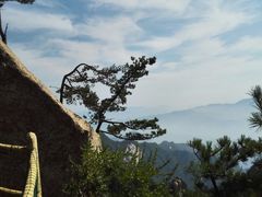 -洛阳白云山景区