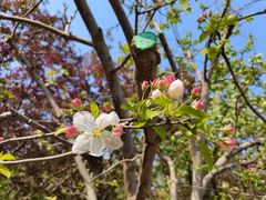 -元大都城垣遗址公园