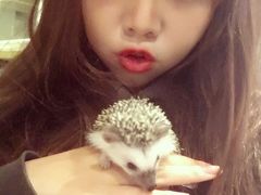 -藦茜花园宠物主题亲子互动体验馆(国顺东路店)