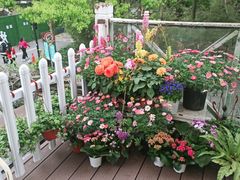 -春暖花开(西溪店)