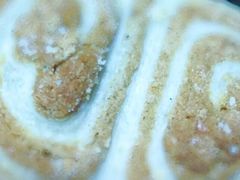 -桂香村(护国寺店)