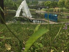 -东钱湖水上乐园(南门)