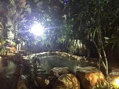-德州凤冠假日酒店