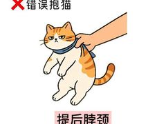 -瑞鹏宠物医院·骨外科·心肾科·肿瘤科(九亭店)