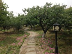 -白马涧龙池景区