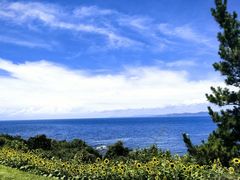 -南紀白浜 浜千鳥の湯 海舟