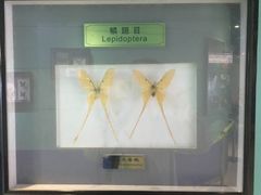 -上海昆虫博物馆
