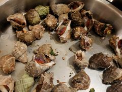 海螺-银帆宾馆-自助餐厅(金马路店)