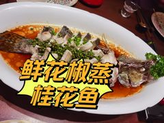 -觅唐MITONG(鸟巢店)