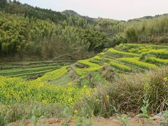 -灵山景区梯田