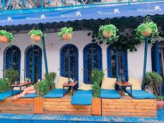 -Sirena海妖日咖夜酒