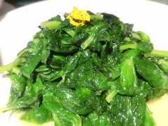 清炒豌豆尖-106餐厅北京菜.烤鸭(百子湾店)