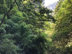 -神龙峡风景区