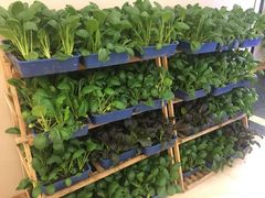 -紫玉轩精菜馆(东川路店)