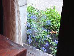 -BUND·FIVE外滩5号(天际店)