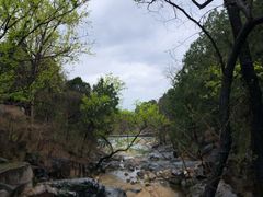 -泰山风景名胜区