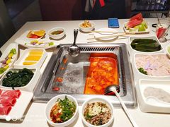 -海底捞火锅(龙岗星河COCO Park店)