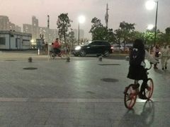 -野狸岛
