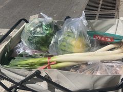 -岳各庄批发市场(西四环中路店)