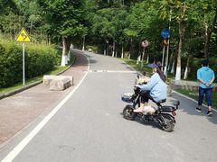 -火炉山森林公园