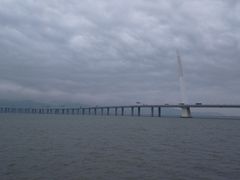 -深圳湾木棉花酒店