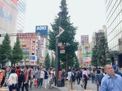 -秋叶原电器街